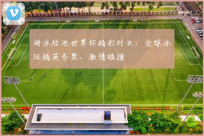 游泳短池世界杯精彩对决，全球泳坛精英齐聚，激情碰撞